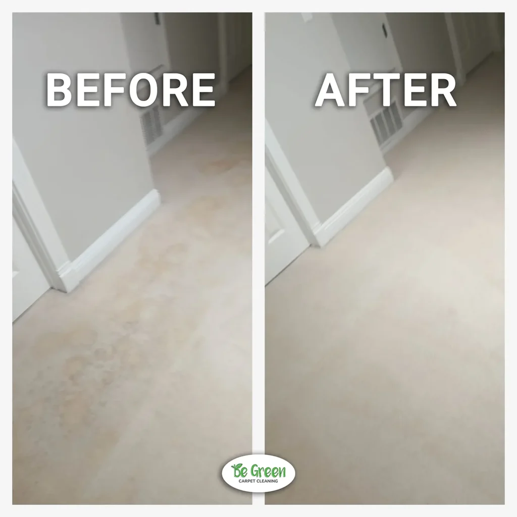 White Carpet with Heavy Stains