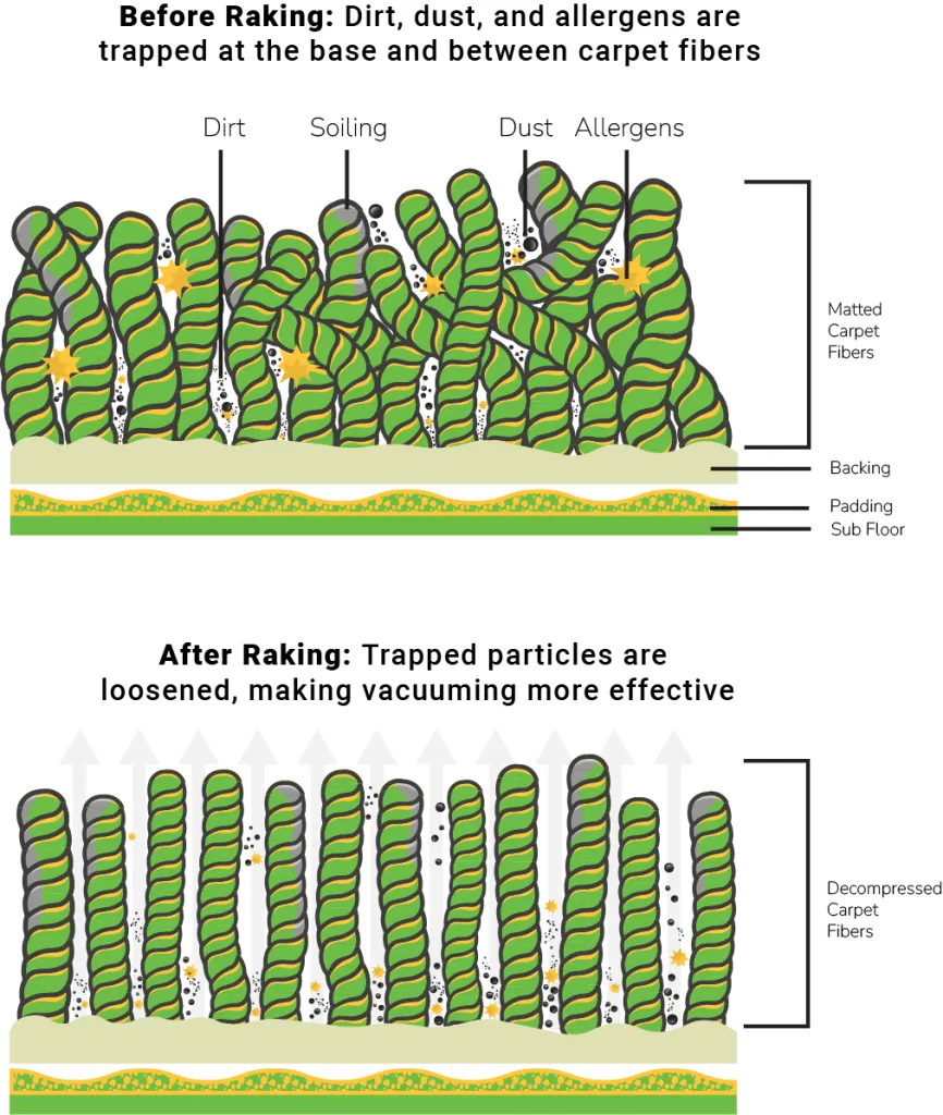 Close up of carpet fibers before and after using a carpet rake during professional carpet cleaning.